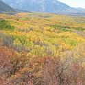 fall09 093